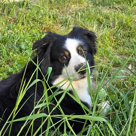 Ferienwohnung, Monteur, Remote Wohn Niegripp