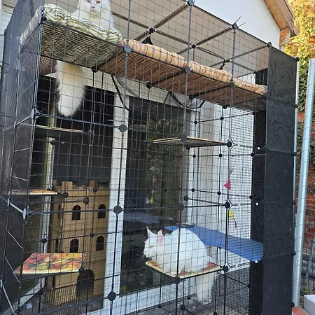 La Petite Ferme De Fine * Burg bei Magdeburg