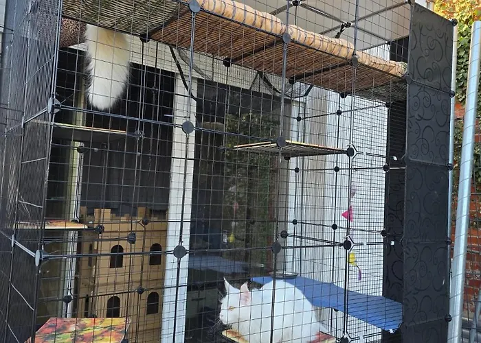 La Petite Ferme De Fine * Burg bei Magdeburg